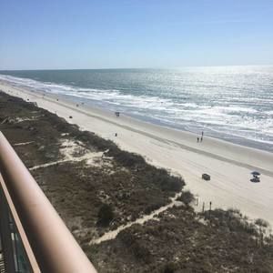 Meet your Posher, Lynn